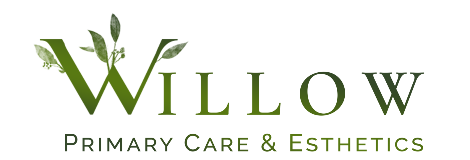 Willow Primary Care & Esthetics